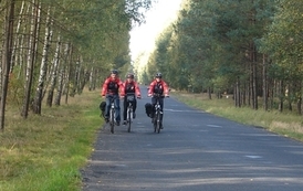 zc3009201202