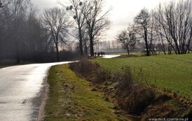 rn0501201209
