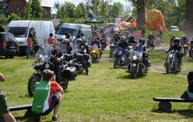 ft1905201395
