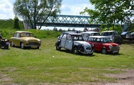 ft1905201393