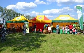 ft1905201388