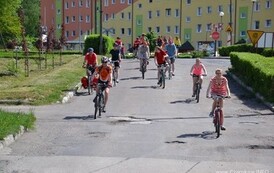 ft1905201361