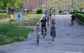 ft1905201360