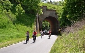 ft1905201352