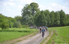 ft1905201349