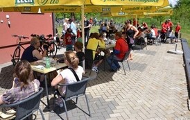 ft1905201343