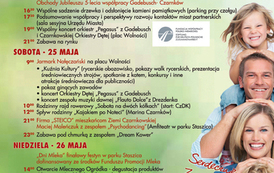dzc_dn_26052013123