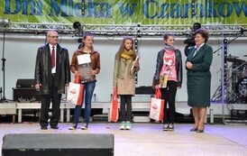 dzc_dn_2605201382