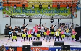 dzc_dn_2605201379