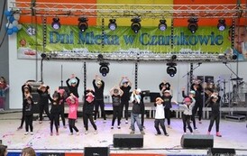 dzc_dn_2605201378
