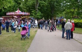 dzc_dn_2605201356