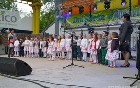 dzc_dn_2605201332