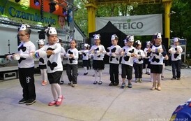 dzc_dn_2605201326