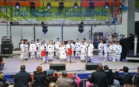 dzc_dn_2605201321