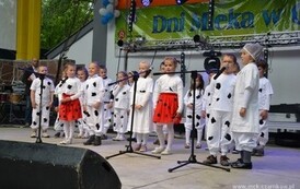 dzc_dn_2605201320