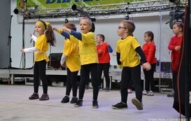 dzc_dn_2605201316