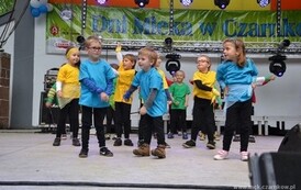 dzc_dn_2605201315