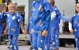 dzc_dn_2605201310