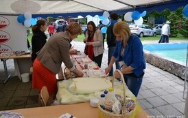 dzc_dn_2605201303