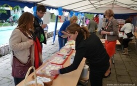 dzc_dn_2605201302