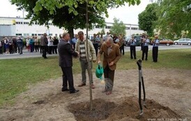 dzc_gp_2405201312