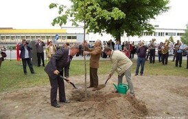 dzc_gp_2405201311