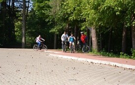 rrr0806201319