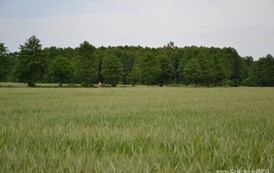 nk0906201322