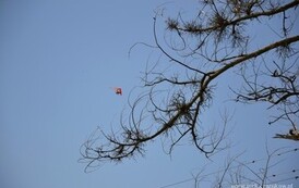 sg1506201325