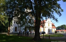 wz0709201316