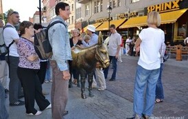 wz0709201314