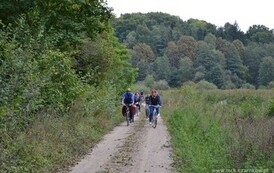 edbs2209201374
