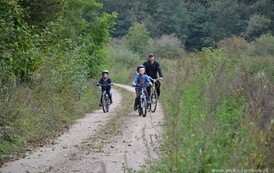 edbs2209201373