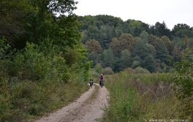 edbs2209201372