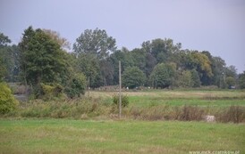 edbs2209201330