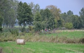 edbs2209201328