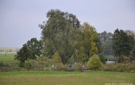 edbs2209201323