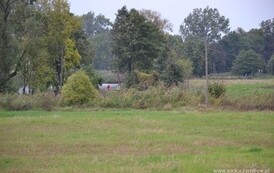 edbs2209201321