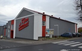 remont_kina208