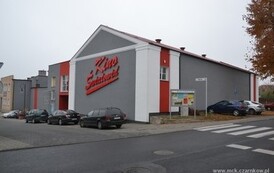 remont_kina206