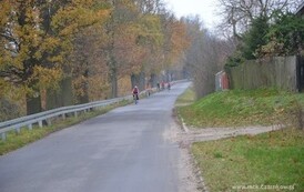 mr1111201308