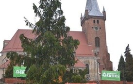 dzz2012201324