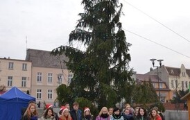 dzz2012201302