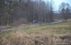rn0401201415
