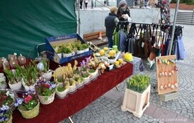 fb0504201416