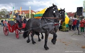 ag1304201468