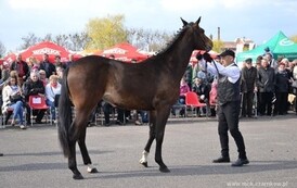 ag1304201464