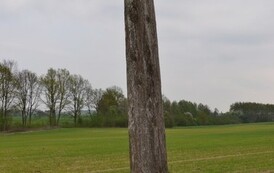 rrr2604201439