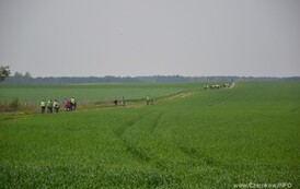 rrr2604201436