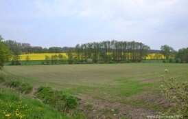 rrr2604201430